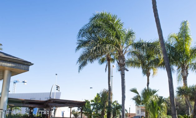 Neue Gebäude - Freistehend / Villa -
San Pedro del Pinatar - San Pedro Del Pinatar