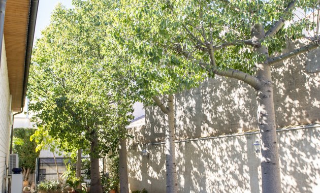 Neue Gebäude - Freistehend / Villa -
San Pedro del Pinatar - San Pedro Del Pinatar