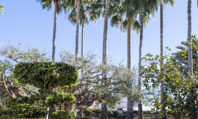 Neue Gebäude - Freistehend / Villa -
San Pedro del Pinatar - San Pedro Del Pinatar