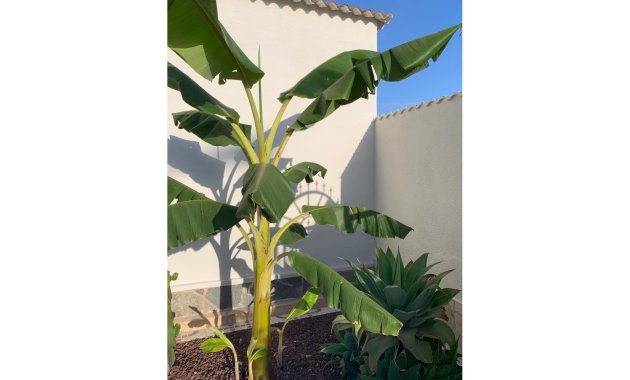 Reventa - Independiente / Villa -
Ciudad Quesada - Rojales - Quesada Center