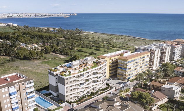 Obra nueva - Planta baja -
Torrevieja
