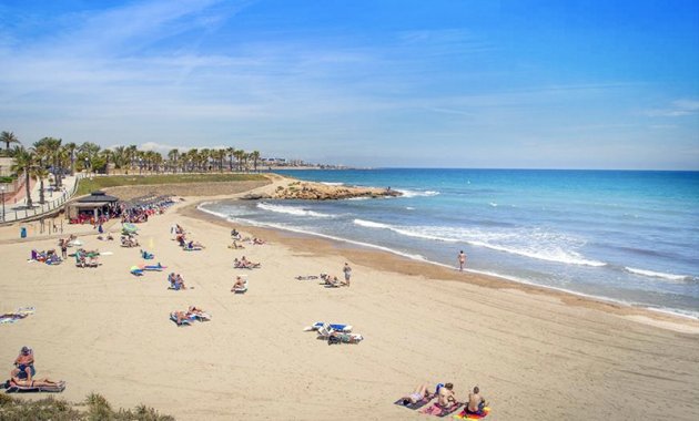 Obra nueva - Planta baja -
Torrevieja