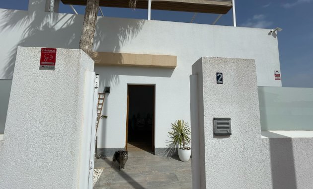 New Build - Detached House / Villa -
Avileses