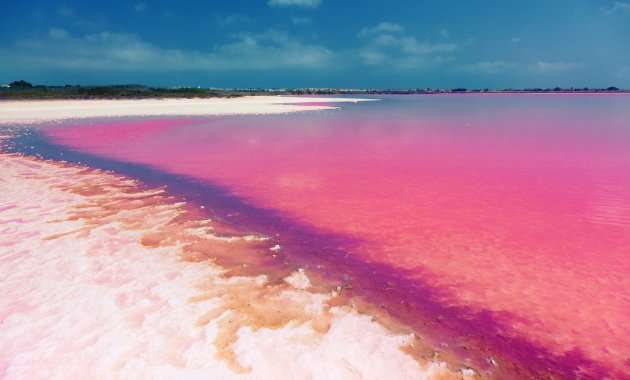 Neue Gebäude - Bungalow - Erdgeschosswohnung -
Torrevieja