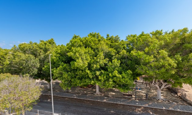 Obra nueva - Independiente / Villa -
Pilar de la Horadada