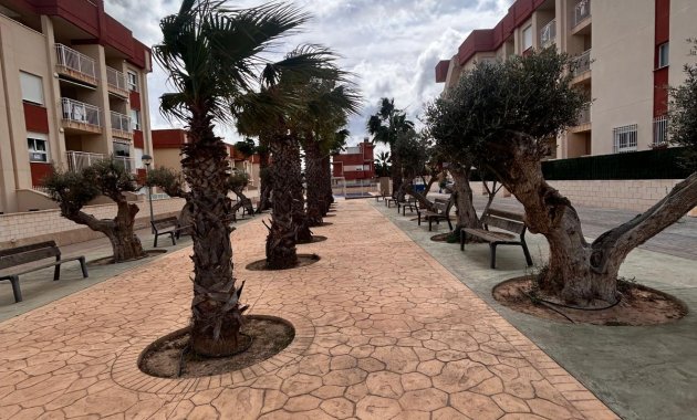 Obra nueva - Planta baja -
Orihuela Costa - Lomas de Cabo Roig