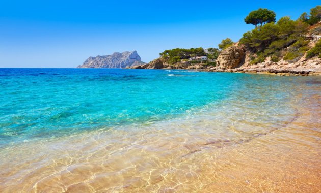 Obra nueva - Planta baja -
Algorfa