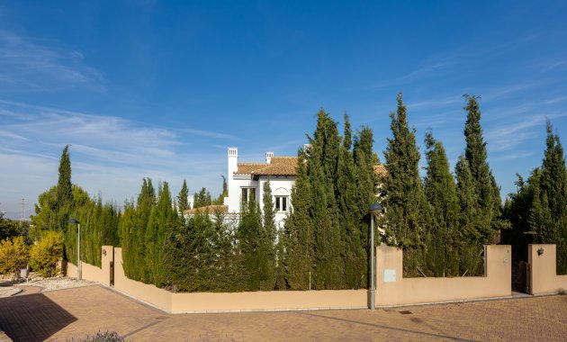 Nouvelle construction - Détaché / Villa -
Fuente Álamo - Fuente Alamo