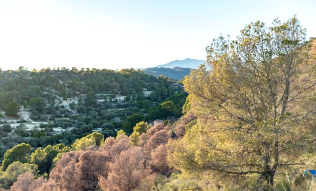 New Build - Apartment -
Finestrat