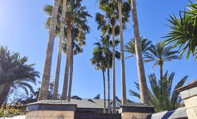 Neue Gebäude - Freistehend / Villa -
San Pedro del Pinatar - San Pedro Del Pinatar