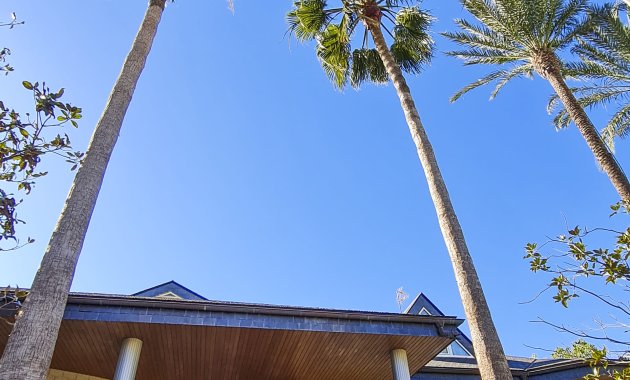 Neue Gebäude - Freistehend / Villa -
San Pedro del Pinatar - San Pedro Del Pinatar