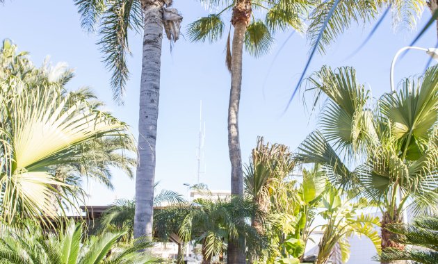 Neue Gebäude - Freistehend / Villa -
San Pedro del Pinatar - San Pedro Del Pinatar