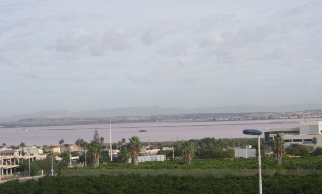 Obra nueva - Casa adosada -
Torrevieja - Los Altos