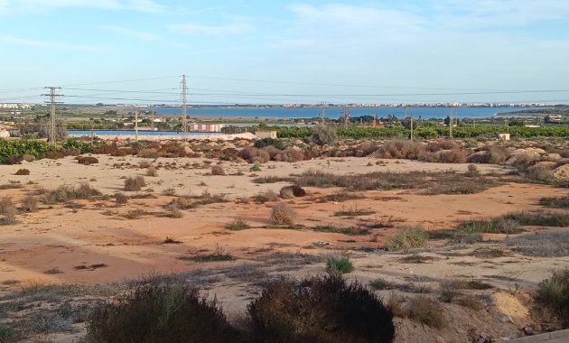 Resale - Detached House / Villa -
Los Montesinos - La Herrada