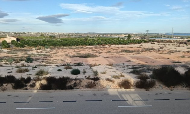 Resale - Detached House / Villa -
Los Montesinos - La Herrada