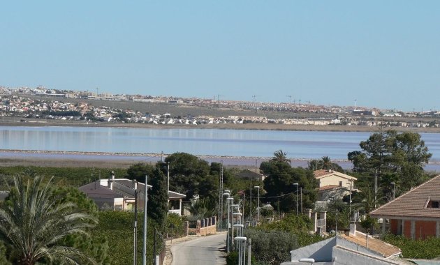 Obra nueva - Villa -
Los Montesinos - La Herrada