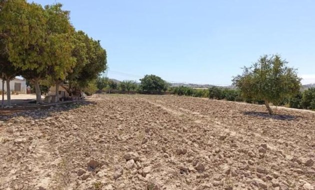 Resale - Finca   -
Ciudad Quesada - Rojales - Rojales