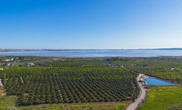 Herverkoop - Appartement -
Los Montesinos