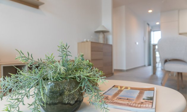 Neue Gebäude - Penthouse -
Playa Flamenca