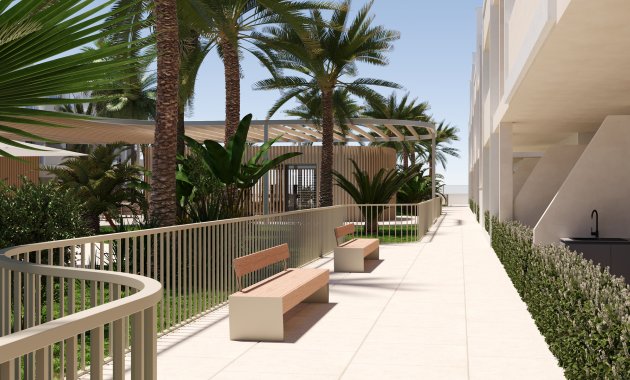 Nouvelle construction - Rez-de-chaussée -
Torre Pacheco - Torre-Pacheco