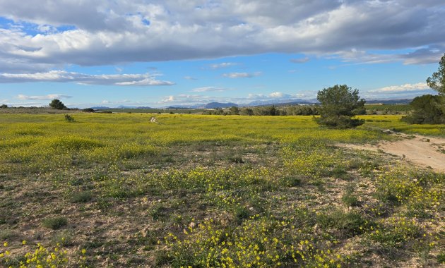 Herverkoop - Appartement -
Orihuela Costa - Villamartin