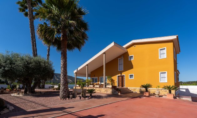 Resale - Finca   -
Orihuela