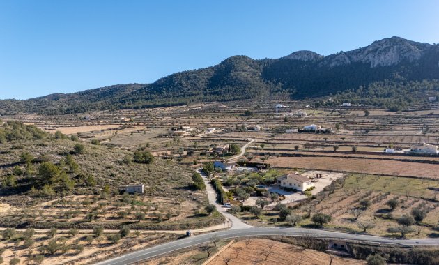 Resale - Finca   -
La Zarza