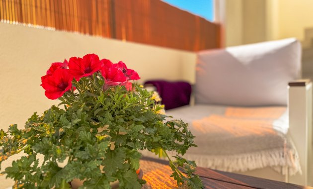 Herverkoop - Bungalow -
Los Altos