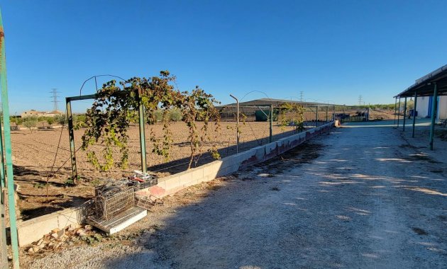 Resale - Finca   -
San Miguel de Salinas