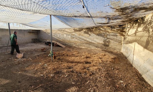 Resale - Finca   -
San Miguel de Salinas