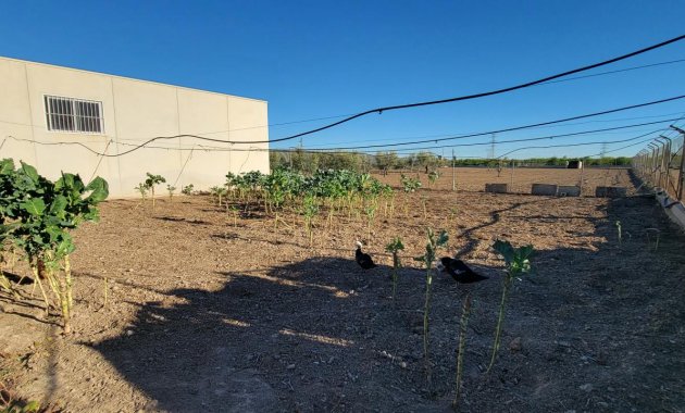 Resale - Finca   -
San Miguel de Salinas