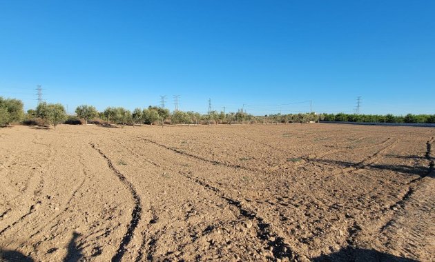 Resale - Finca   -
San Miguel de Salinas