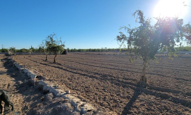 Resale - Finca   -
San Miguel de Salinas