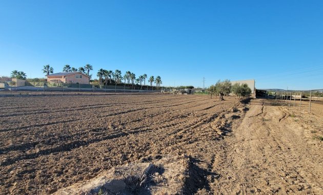 Resale - Finca   -
San Miguel de Salinas
