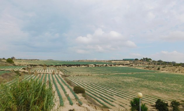 Resale - Detached House / Villa -
San Miguel de Salinas - San Miguel Salinas