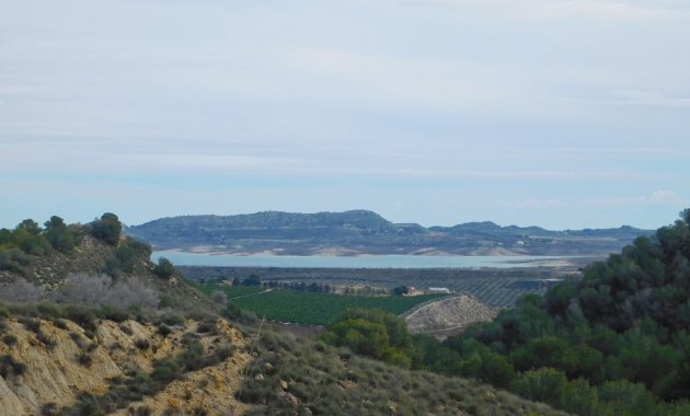 Herverkoop - Finca   -
Torremendo