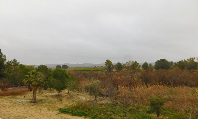 Herverkoop - Appartement -
Torremendo