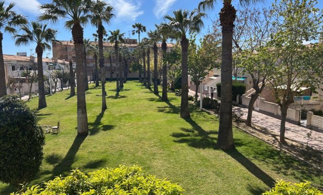 Reventa - Apartamento -
Cabo Roig