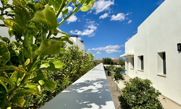 Obra nueva - Independiente / Villa -
Benijofar