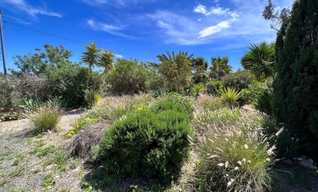 Herverkoop - Finca   -
Cartagena
