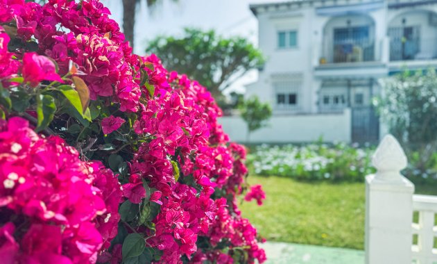 Revente - Maison individuelle -
Torrevieja - Lago Jardin
