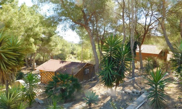 Herverkoop - Finca   -
Torremendo