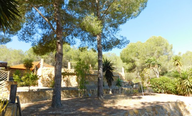 Herverkoop - Finca   -
Torremendo