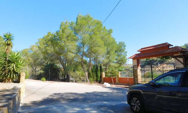 Herverkoop - Finca   -
Torremendo