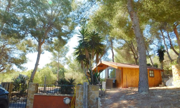 Herverkoop - Finca   -
Torremendo