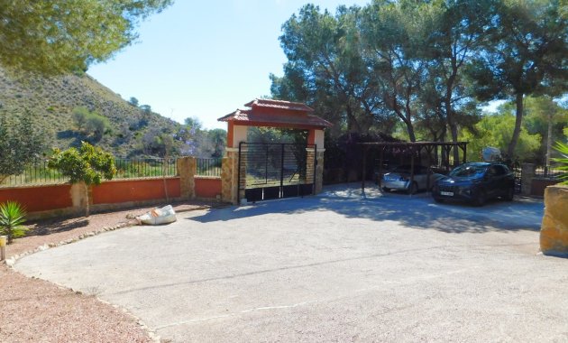 Herverkoop - Finca   -
Torremendo