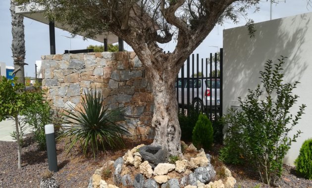 Neue Gebäude - Bungalow - Erdgeschosswohnung -
Torrevieja