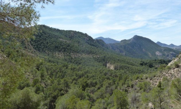 Wiederverkauf - Doppelhaushälfte -
Murcia