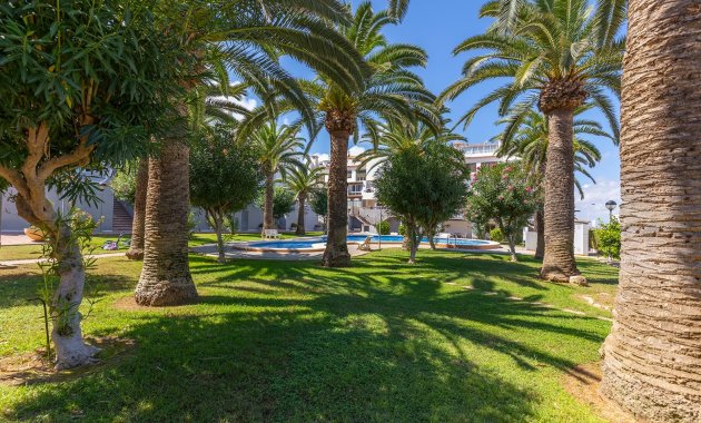Herverkoop - Appartement -
La Mata