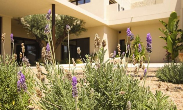 Nieuwbouw Woningen - Vrijstaande woning / Villa -
La Marina
